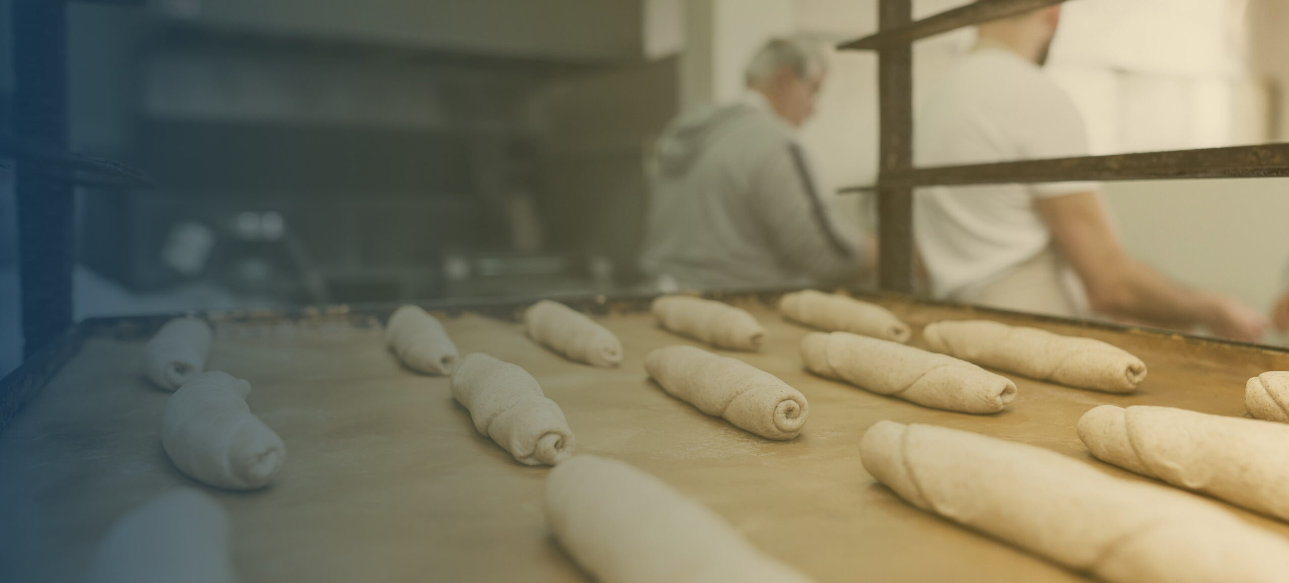 Formatrice per Pane Professionale